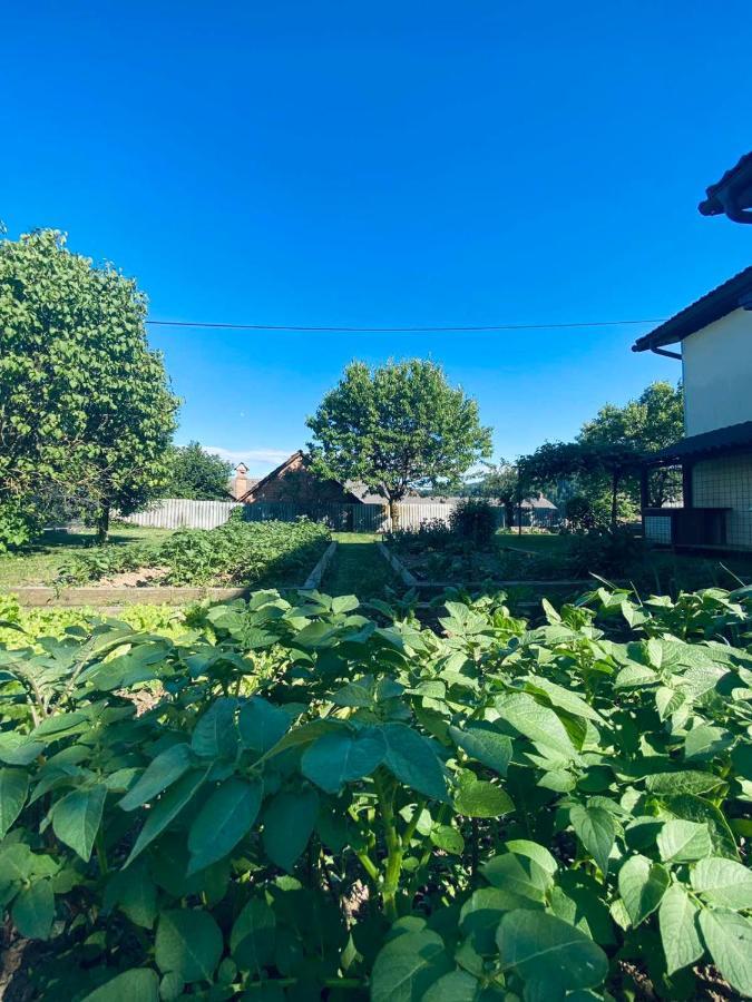 Apartma Kamnitnk Škofja Loka Exterior foto